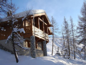 Charming chalet with a fire place and great view on Mont Blanc Peisey-Nancroix